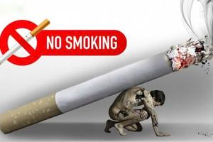 Cùng chung tay hành động, nói không với thuốc lá, hướng tới cộng đồng khoẻ mạnh, không khói thuốc
