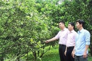 Tín dụng chính sách – điểm tựa vững chắc cho người dân Hà Tĩnh sau thiên tai