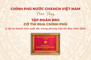 Tập đoàn BRG được trao tặng Cờ Thi đua Chính phủ