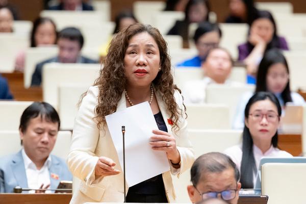 Đại biểu Quốc hội đề xuất chính sách để phát triển nền "kinh tế tóc bạc”