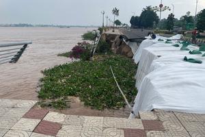 Đồng Tháp ban hành Lệnh xây dựng công trình khẩn cấp khắc phục sạt lở sông Tiền