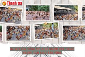 Quảng Ninh: Gà Tiên Yên giúp người dân Điền Xá thoát nghèo