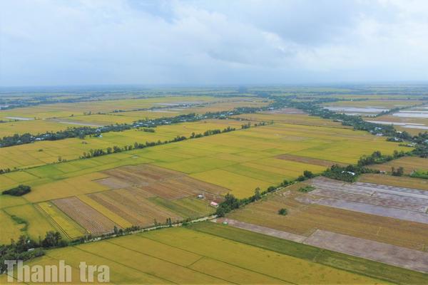 Cà Mau: Hơn 842.000 thửa đất đã được đồng bộ với Cơ sở dữ liệu Quốc gia, đạt 98,65%