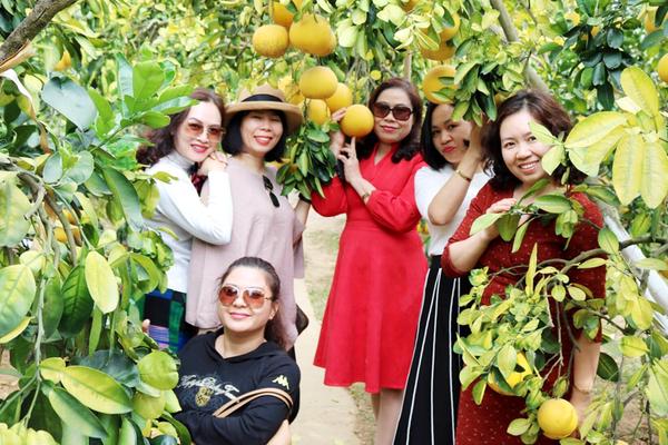 Lễ hội Trái cây Bắc Ninh 2025 diễn ra từ ngày 5/12