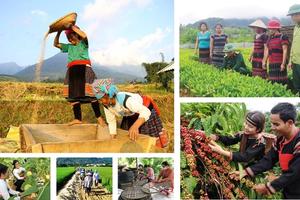 Chính quyền địa phương 2 cấp: Hướng đi mới, hiệu quả cho Chương trình giảm nghèo bền vững