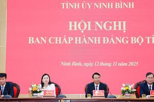 Ninh Bình: Thống nhất thông qua Chương trình kiểm tra, giám sát toàn khóa và Chương trình kiểm tra, giám sát năm 2026