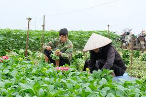 Hà Nội về đích sớm một năm: Hình mẫu giảm nghèo với cơ chế chính sách đặc thù