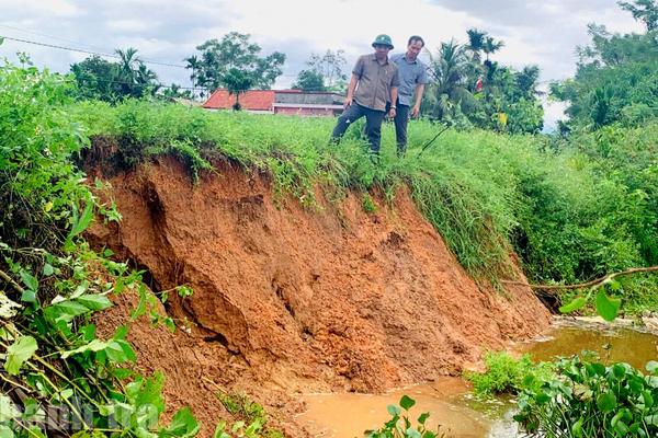 Quảng Trị: Sạt lở bờ sông Vĩnh Định đe doạ cuộc sống người dân