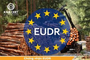 Đồng Nai vào cuộc sớm thích ứng Quy định EUDR của Liên minh châu Âu