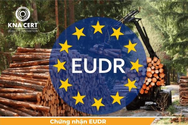 Đồng Nai vào cuộc sớm thích ứng Quy định EUDR của Liên minh châu Âu