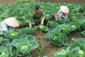 Dự thảo Luật Thi hành án hình sự (sửa đổi): Dấu ấn nhân văn và quyền con người