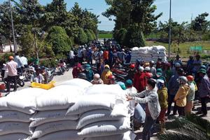 Xuất cấp gần 1.760 tấn gạo dự trữ quốc gia cho tỉnh Đắk Lắk cứu đói khẩn cấp