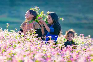 Phát triển sản xuất, cải thiện dinh dưỡng: Một trong những trụ cột trong giảm nghèo đa chiều