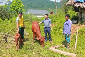 Thái Nguyên: Tập trung mọi nguồn lực, triển khai hiệu quả chương trình giảm nghèo bền vững