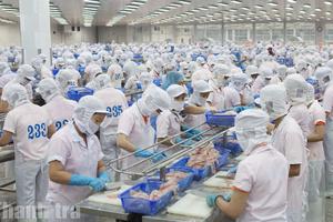 An Giang: Khơi thông nguồn lực, tạo điều kiện để doanh nghiệp tư nhân phát triển