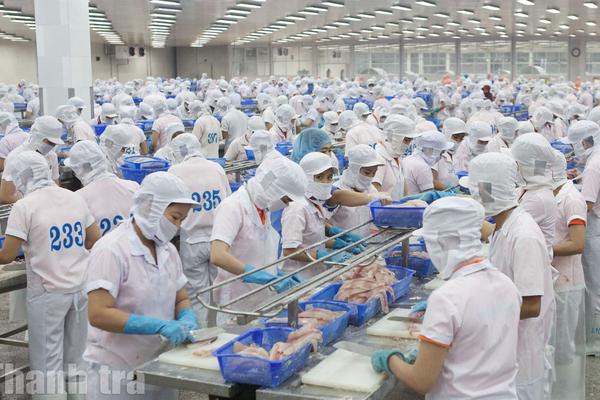 An Giang: Khơi thông nguồn lực, tạo điều kiện để doanh nghiệp tư nhân phát triển