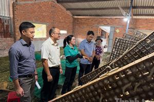 Đa dạng hóa sinh kế – chìa khóa giúp người dân Đắk Lắk giảm nghèo bền vững