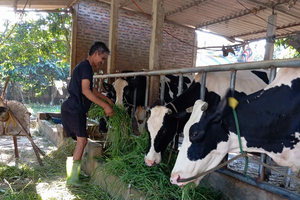 Điểm tựa cho hộ nghèo vươn lên ở xã Suối Hai