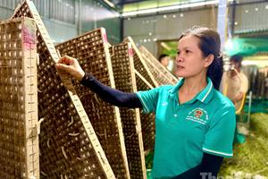 Phát huy nguồn lực chính sách, người dân Krông Bông tích cực vươn lên thoát nghèo bền vững