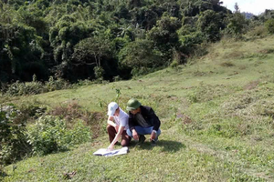 Quỹ Bảo vệ và Phát triển rừng Nghệ An: Giám sát để kiến tạo, đồng hành và nâng cao hiệu quả chính sách trong kỷ nguyên mới