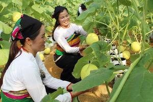 Những điểm sáng trong hướng đi giảm nghèo bền vững vùng miền núi