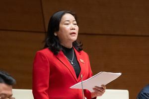 Đại biểu Quốc hội đề xuất bỏ đại học vùng