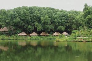 Thanh tra Chính phủ báo cáo Chính phủ việc xử lý sau thanh tra tại Dự án Điểm dịch vụ du lịch sinh thái Song Phương (Hà Nội)