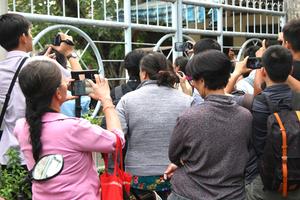 TP Hồ Chí Minh: Chủ động các phương án thực hiện Kế hoạch số 329/KH-TTCP của Thanh tra Chính phủ