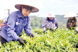 Lạng Sơn: Bứt phá giảm nghèo, lan tỏa sức sống mới