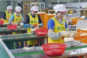 Rộng mở cơ hội việc làm tại Hàn Quốc cho lao động Việt Nam