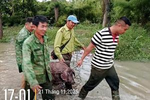 Đắk Lắk: Bộ đội Biên phòng căng mình ứng cứu khi lũ dâng cao ở xã biên giới Buôn Đôn