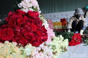 Lâm Đồng: Thoát nghèo nhờ trồng hoa hồng công nghệ cao