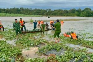 Hỗ trợ 1.100 tỷ đồng cho 4 tỉnh: Khánh Hòa, Lâm Đồng, Gia Lai, Đắk Lắk khắc phục thiệt hại do mưa lũ