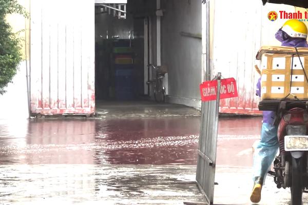 Alo Thanh tra số 47: Kênh Hòa Bình đen đặc, mùi hôi lan rộng: Cần làm rõ nguồn gây ô nhiễm