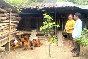 Xã Phong Thổ (tỉnh Lai Châu): Quyết tâm giảm nghèo bền vững, tạo chuyển biến tích cực sau sáp nhập