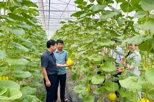 Lan tỏa nguồn vốn tín dụng chính sách thông qua chương trình phối hợp