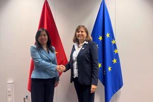 EU hỗ trợ Việt Nam 850.000 euro để khắc phục hậu quả lũ lụt