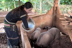 Tỉnh Bà Rịa – Vũng Tàu (cũ) hoàn thành 100% chỉ tiêu giảm nghèo vùng dân tộc thiểu số