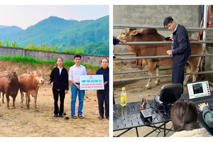 Tuyên Quang vượt kế hoạch giảm nghèo nhờ chính sách đúng, hành động quyết liệt