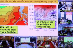 Điểm bất thường của bão số 15, rủi ro sạt lở là chắc chắn