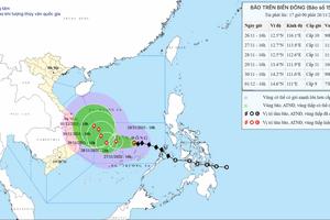 Hai kịch bản của bão số 15