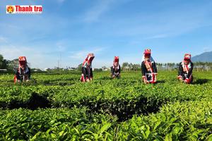 Từ 1.526 xuống 0 hộ nghèo: Hành trình bứt phá của Quảng Ninh