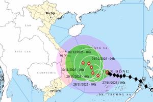 Bão số 15 mạnh lên 4 cấp, gây mưa lớn diện rộng cho Nam Trung bộ