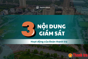 Những nội dung nào thuộc phạm vi giám sát hoạt động đoàn thanh tra?