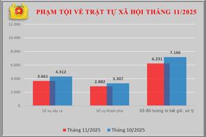 Số vụ phạm tội về trật tự xã hội giảm