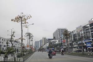 Xây dựng nông thôn mới hiện đại: Kỳ vọng mới cho nông thôn Việt Nam