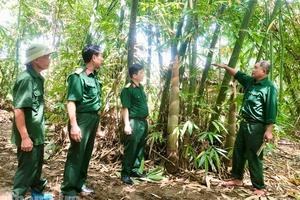 Phát huy phẩm chất “Bộ đội Cụ Hồ” trong xây dựng mô hình kinh tế ở Lào Cai