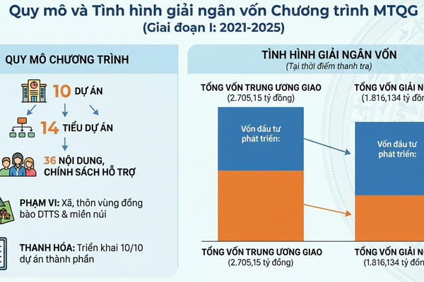 Bài 1: Sai sót từ khâu tổ chức triển khai, giao vốn đến kiểm tra, giám sát