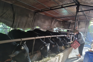 Phát huy hiệu quả vốn tín dụng trong giảm nghèo, tạo việc làm tại xã Sóc Sơn