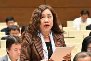 Lo “già trước khi giàu”, đại biểu Quốc hội đề nghị phát triển cơ sở dưỡng lão tư